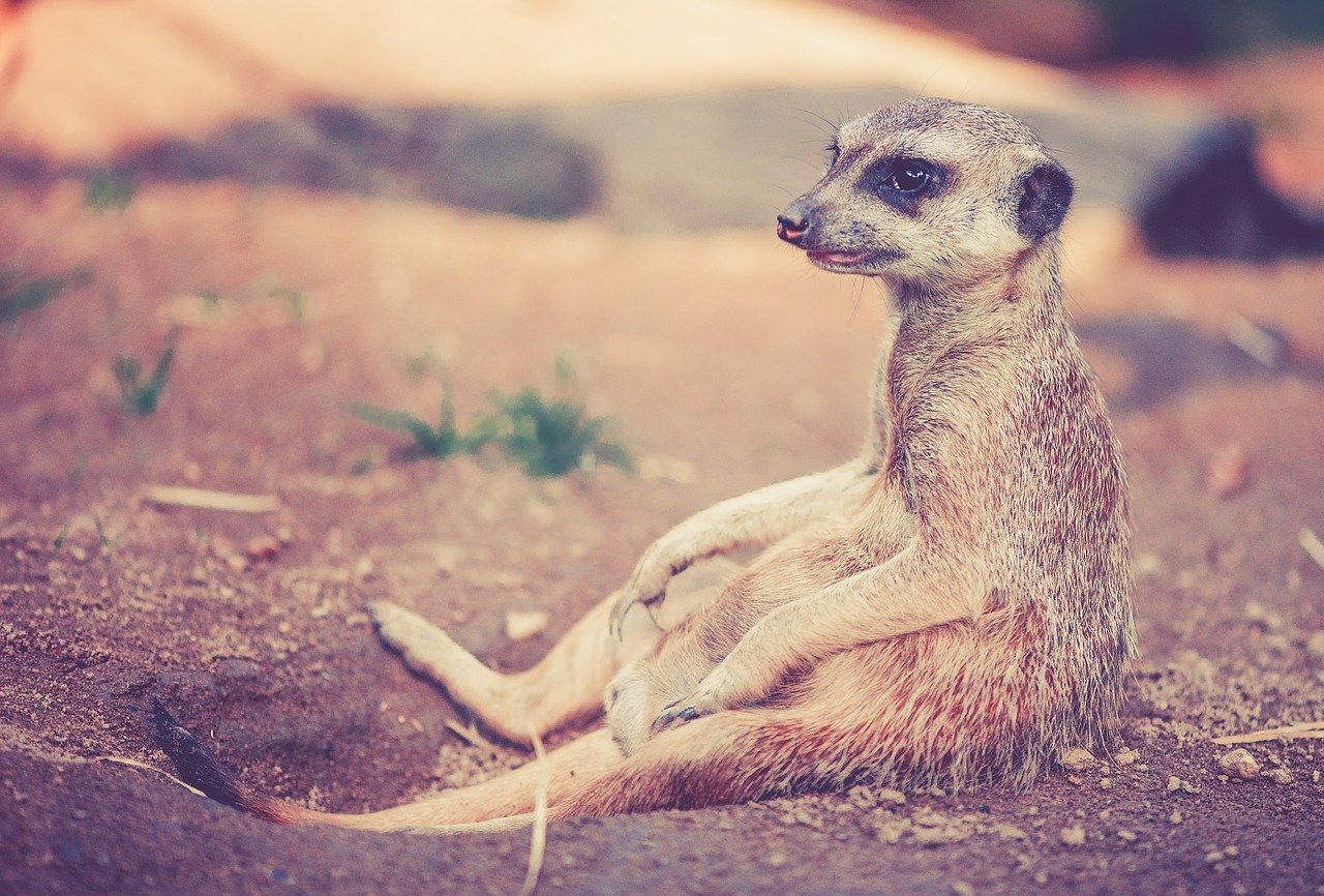 Zoo Jaderpark an der Nordsee