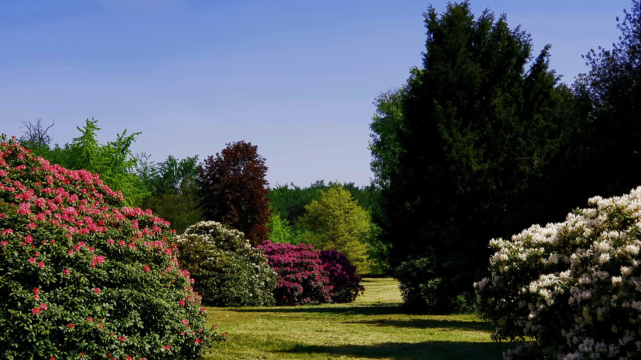 Gärten in Bremen Botanika, Botanische Garten & Rhododendron Park