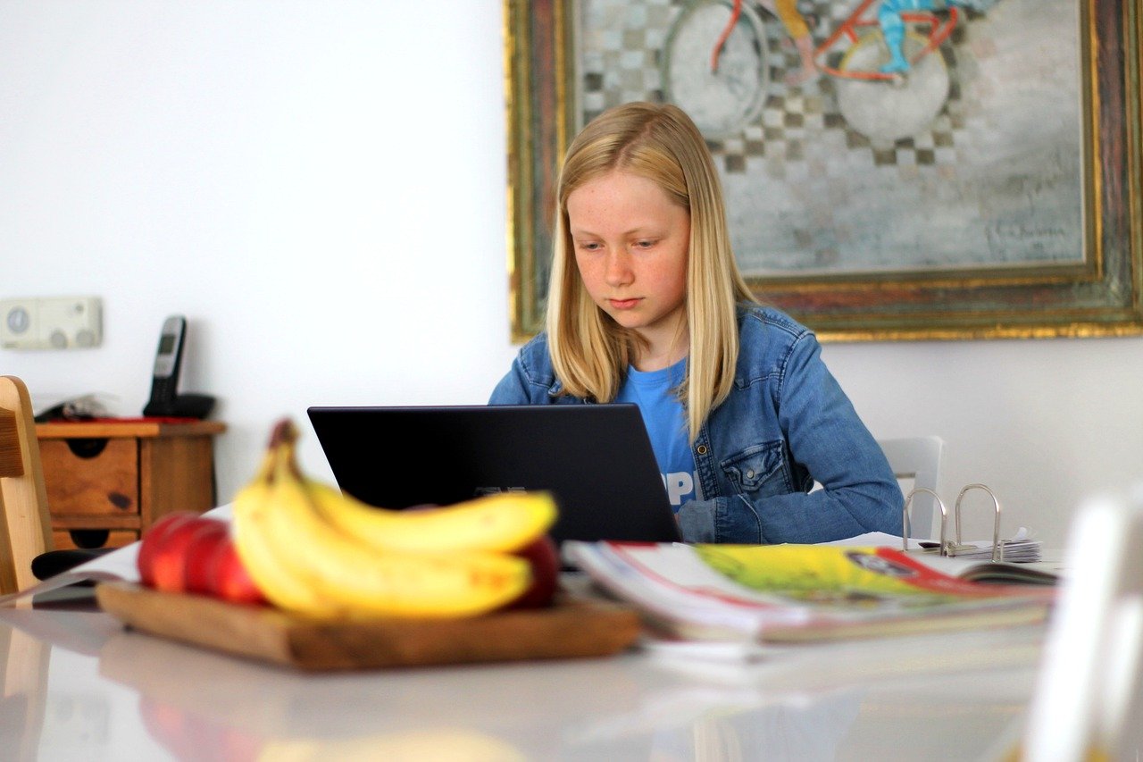 Freiwilliges Homeschooling - Quelle: Pressemeldung Nds. Kultusministerium
