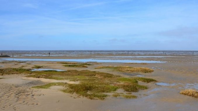 Akzeptanz für UNESCO-Biosphärenregion „Niedersächsisches Wattenmeer" wächst - Umweltminister Lies wirbt um Beitritt aller Küstenkommunen