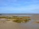 Akzeptanz für UNESCO-Biosphärenregion „Niedersächsisches Wattenmeer" wächst - Umweltminister Lies wirbt um Beitritt aller Küstenkommunen