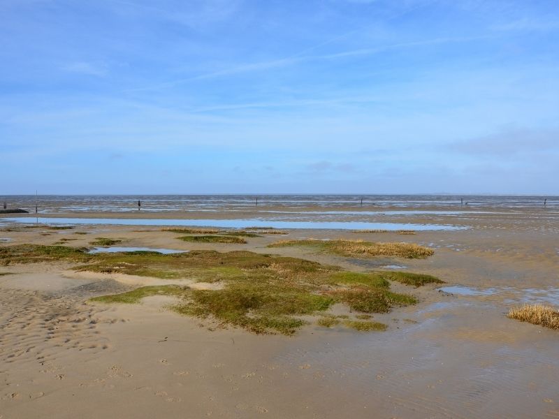 Akzeptanz für UNESCO-Biosphärenregion „Niedersächsisches Wattenmeer" wächst - Umweltminister Lies wirbt um Beitritt aller Küstenkommunen