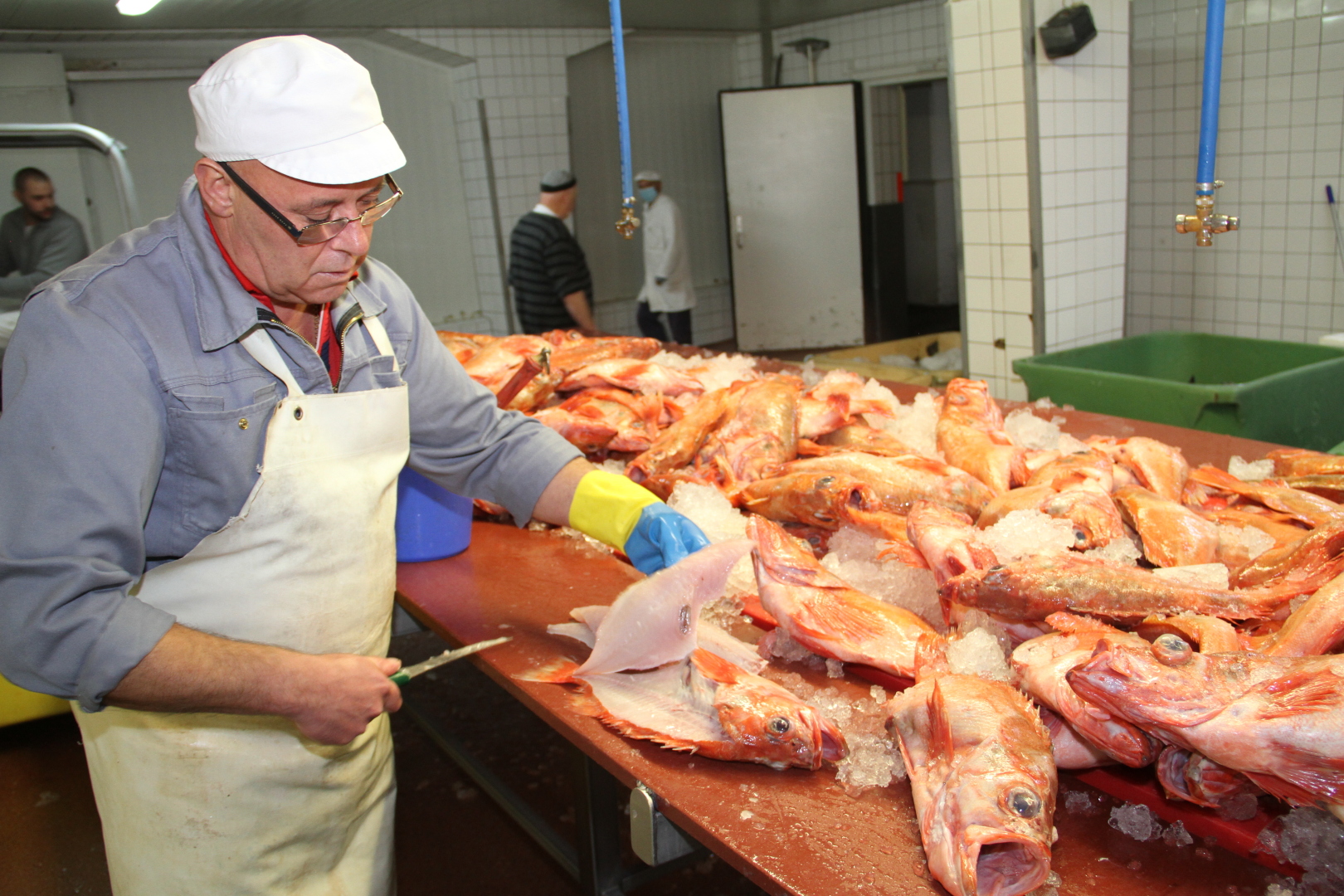 Fischfiletierer als Schnittstelle für höchsten Genuss