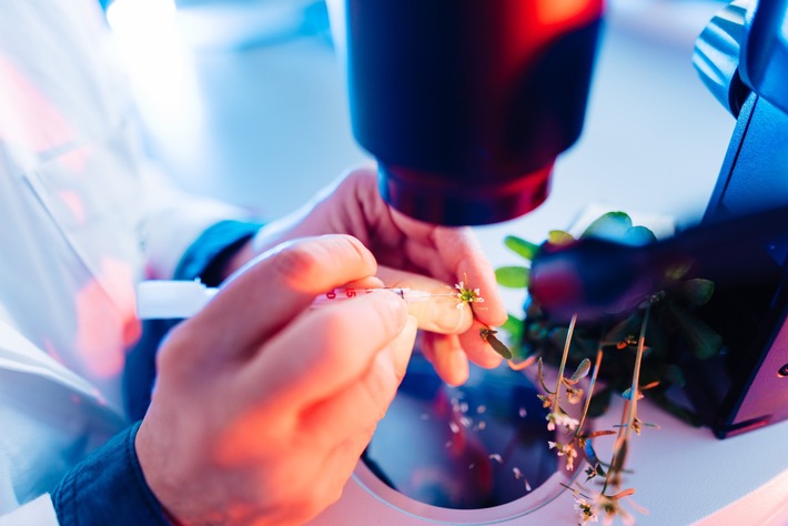 Universität Bremen erhält Millionenförderung für Technologie-Transfer