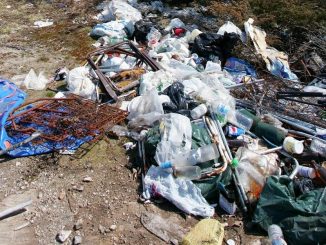 Mindestens 60 illegale Müllkippen in Norddeutschland - Gemeinden mit Entsorgung überfordert