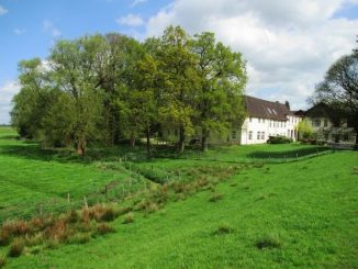 Hochwasserschutz: Deichband beantragt Planfeststellung für Vorhaben am Kloster Blankenburg