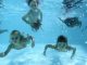 „Oldenburg lernt schwimmen“: Auftakt gelungen, Fortsetzung gestartet
