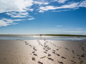 Neue Ölbohrungen im Nationalpark Wattenmeer: Deutsche Umwelthilfe fordert Wintershall Dea zum sofortigen Stopp der Förderpläne auf