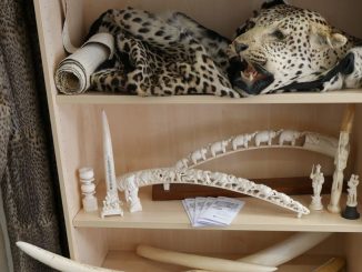 Wenn das Klavier das Lied vom Tod spielt