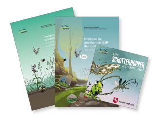 NLWKN bietet neues Heft für Kinder zum Thema Insektenvielfalt