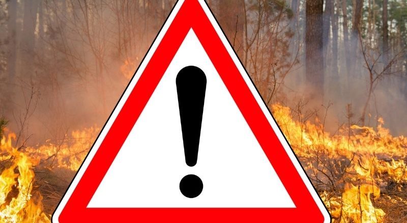 Erhöhte Waldbrandgefahr wegen Trockenheit