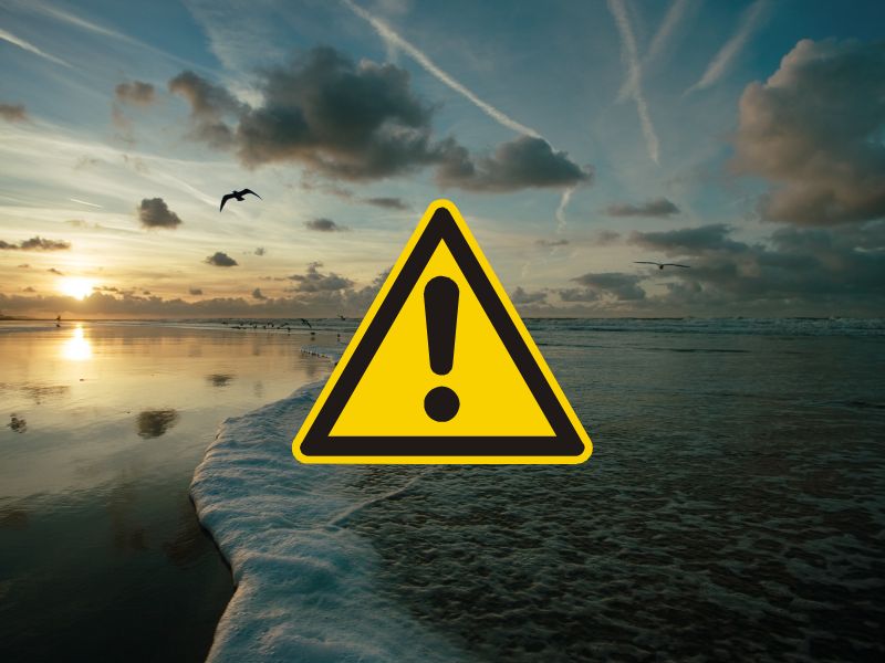 Gefahr für Artenvielfalt in Nordsee
