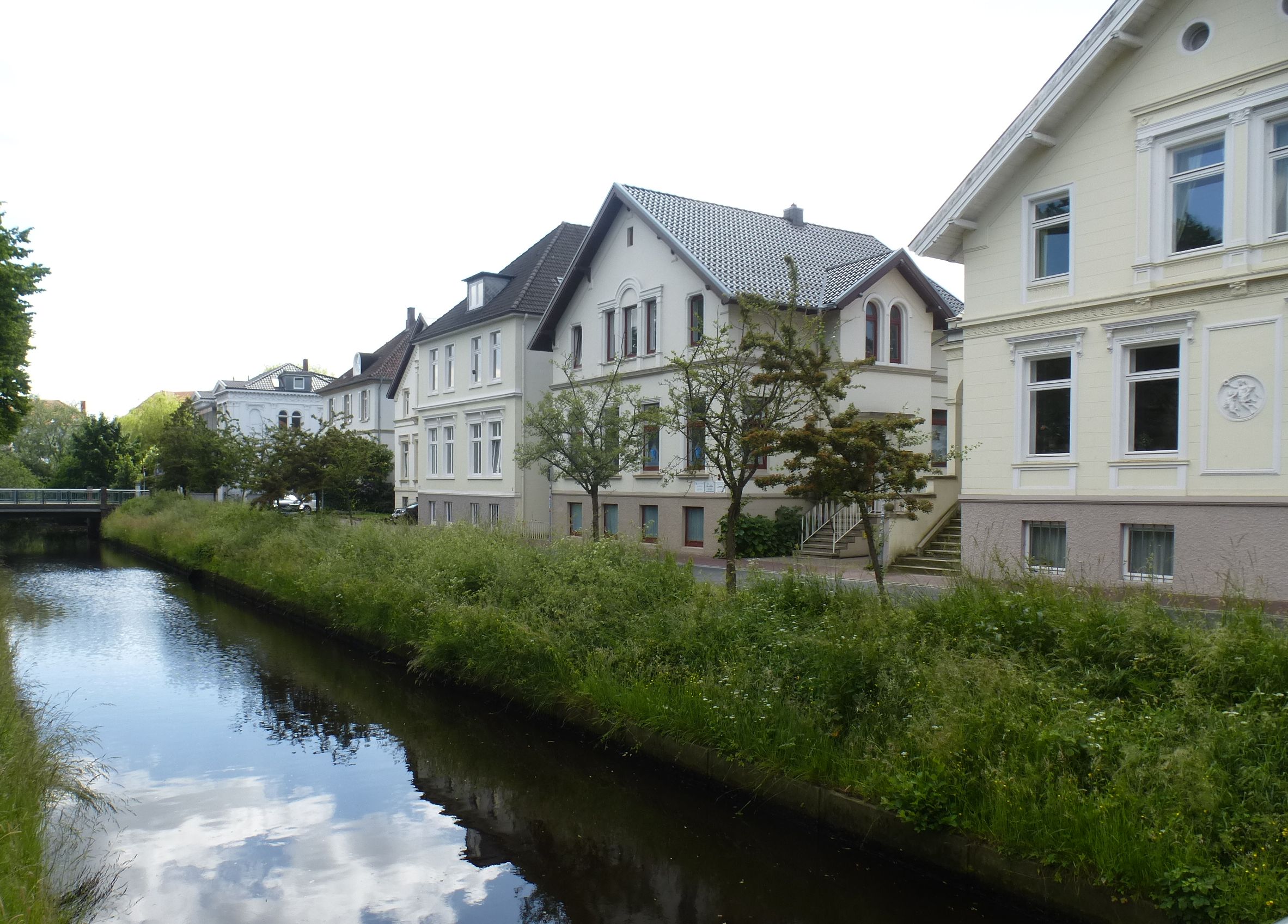 Haarenufer: Mehlbeere ersetzt Weißdorn