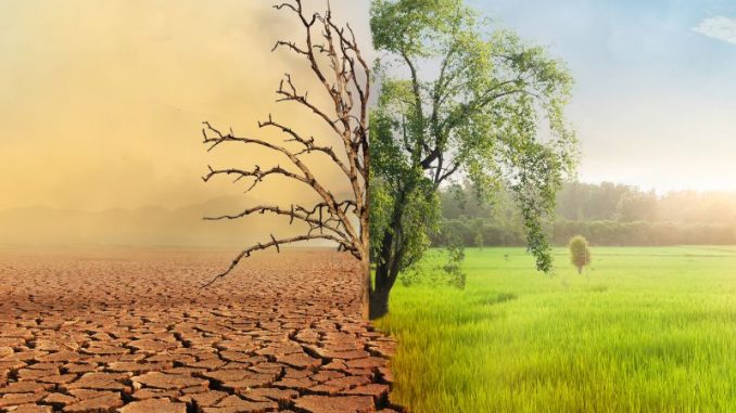 Klimaanpassung in der Landwirtschaft