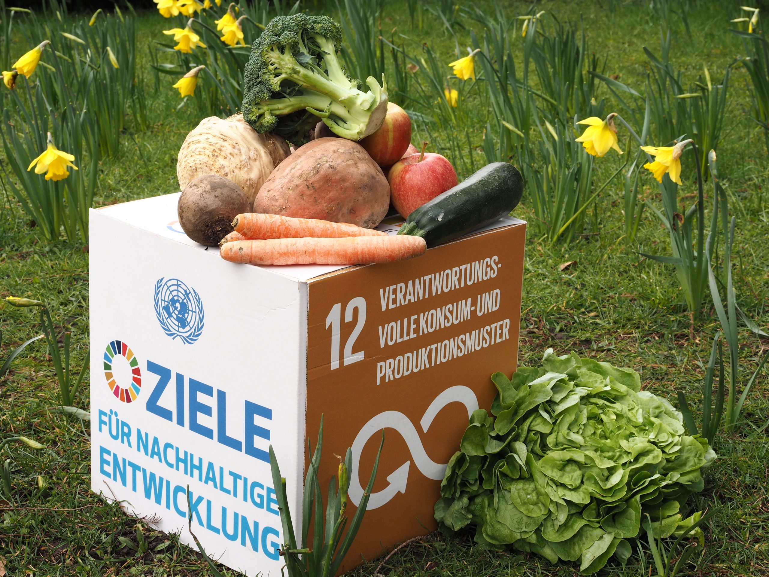 Mit kleinen Entscheidungen hin zu nachhaltigerem Konsum