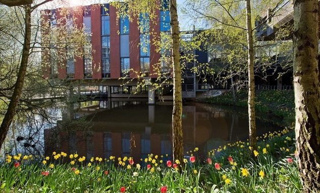 Bremen Goes Sustainable: Eine Million Euro für Nachhaltigkeit an den Bremischen Hochschulen