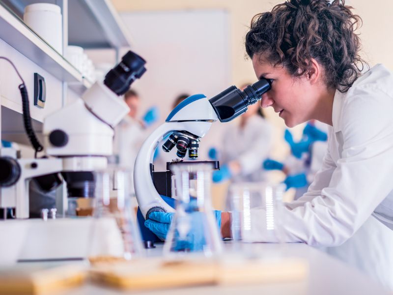 Freiwilliges Wissenschaftliches Jahr ermöglicht erste Erfahrungen in der Forschung
