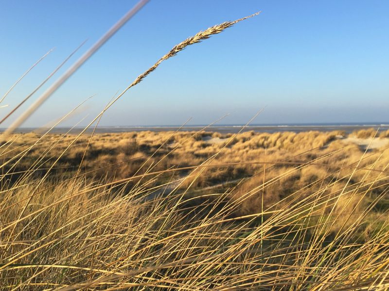 Deutsche Umwelthilfe beantragt endgültige Ablehnung der Gasbohrungen vor Borkum nach Gerichtsentscheidung in Den Haag