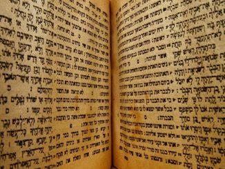 Krieg und Frieden in der Hebräischen Bibel