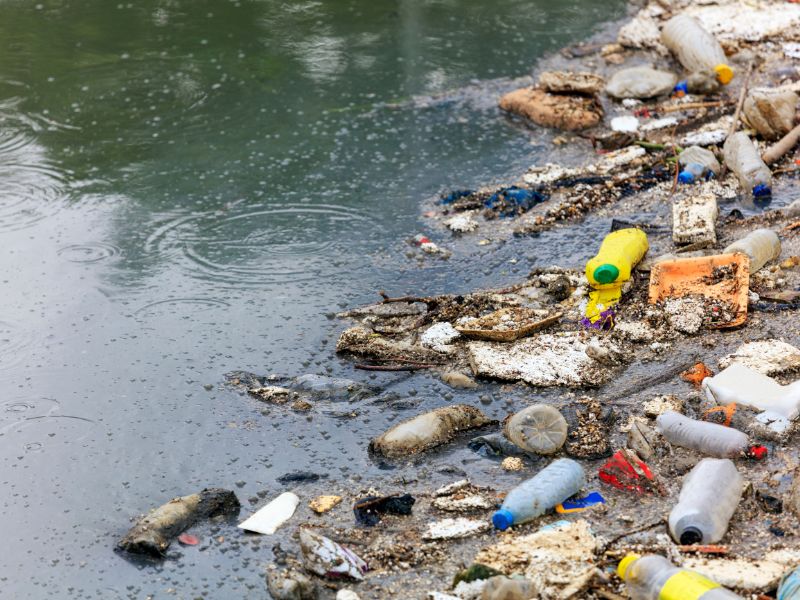 Forschungsprojekte zu Meeresraumplanung und Plastikverschmutzung in der Nordsee gestartet
