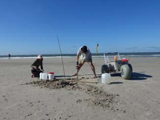 Wissenschaft am Strand