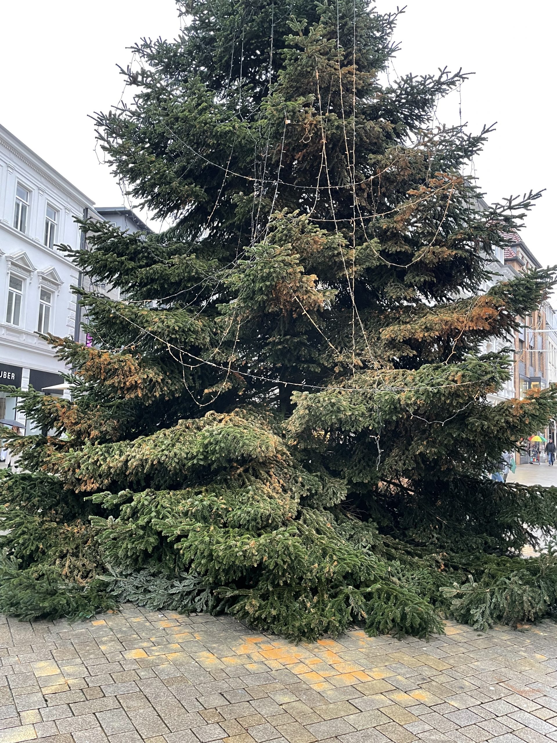 Kopfschütteln über Farbattacke auf Tanne am Lefferseck