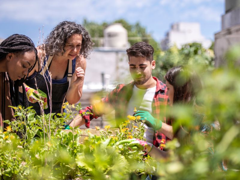 Urban Gardening im Viertel: Eine grüne Renaissance