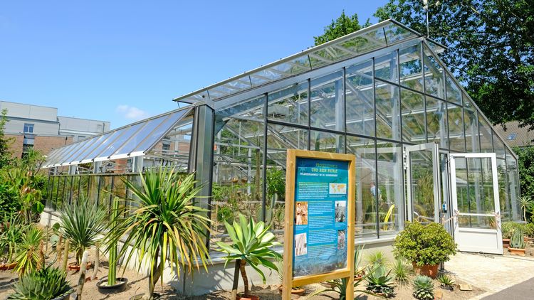 Schautag im Botanischen Garten der Universität
