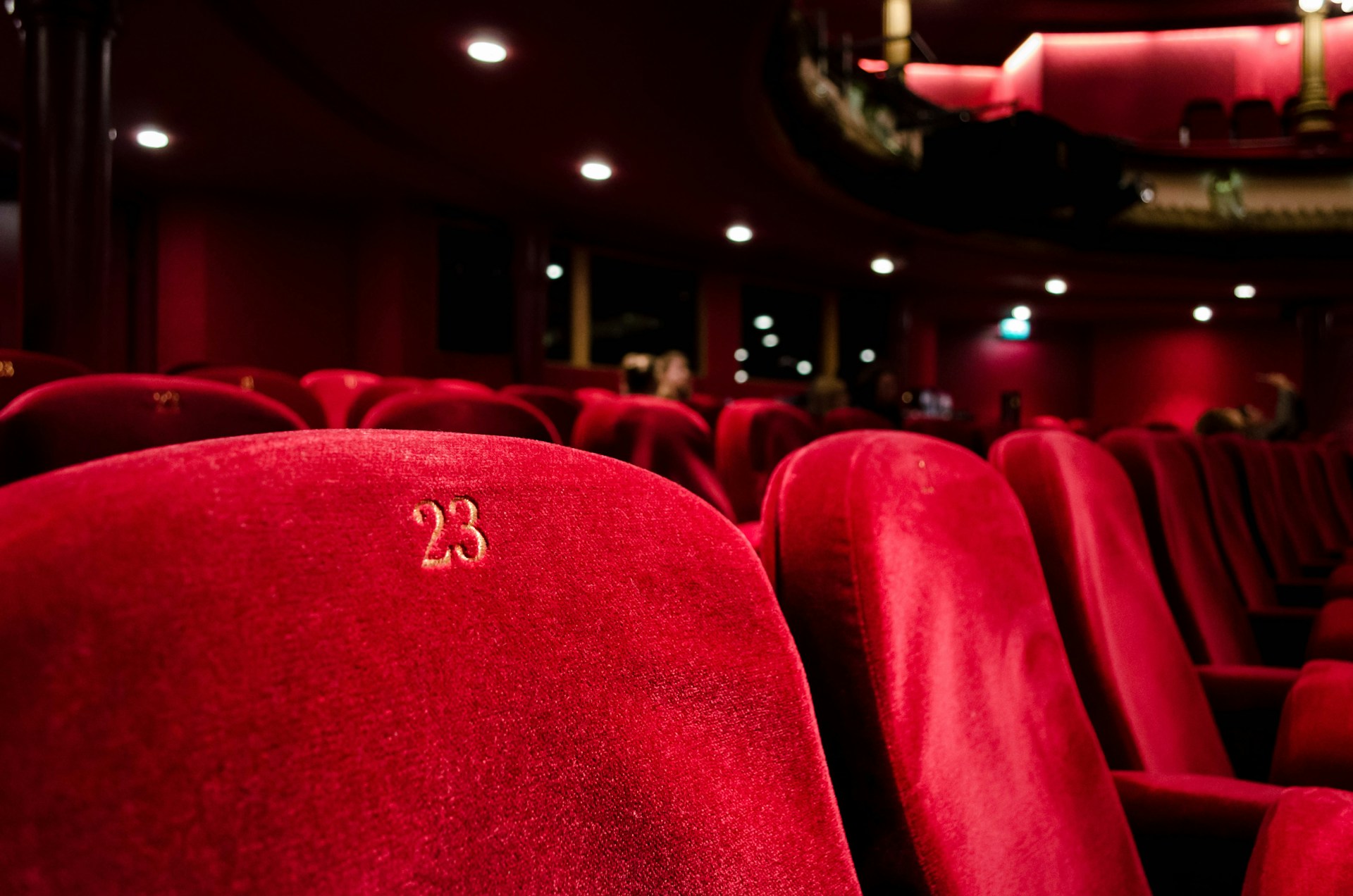 Für die Produktion „Hamlet“ am Theater Bremen werden Jugendliche zwischen 14 – 21 Jahren gesucht