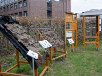 Neue Infostation zur Dachbegrünung im Botanischen Garten der Universität