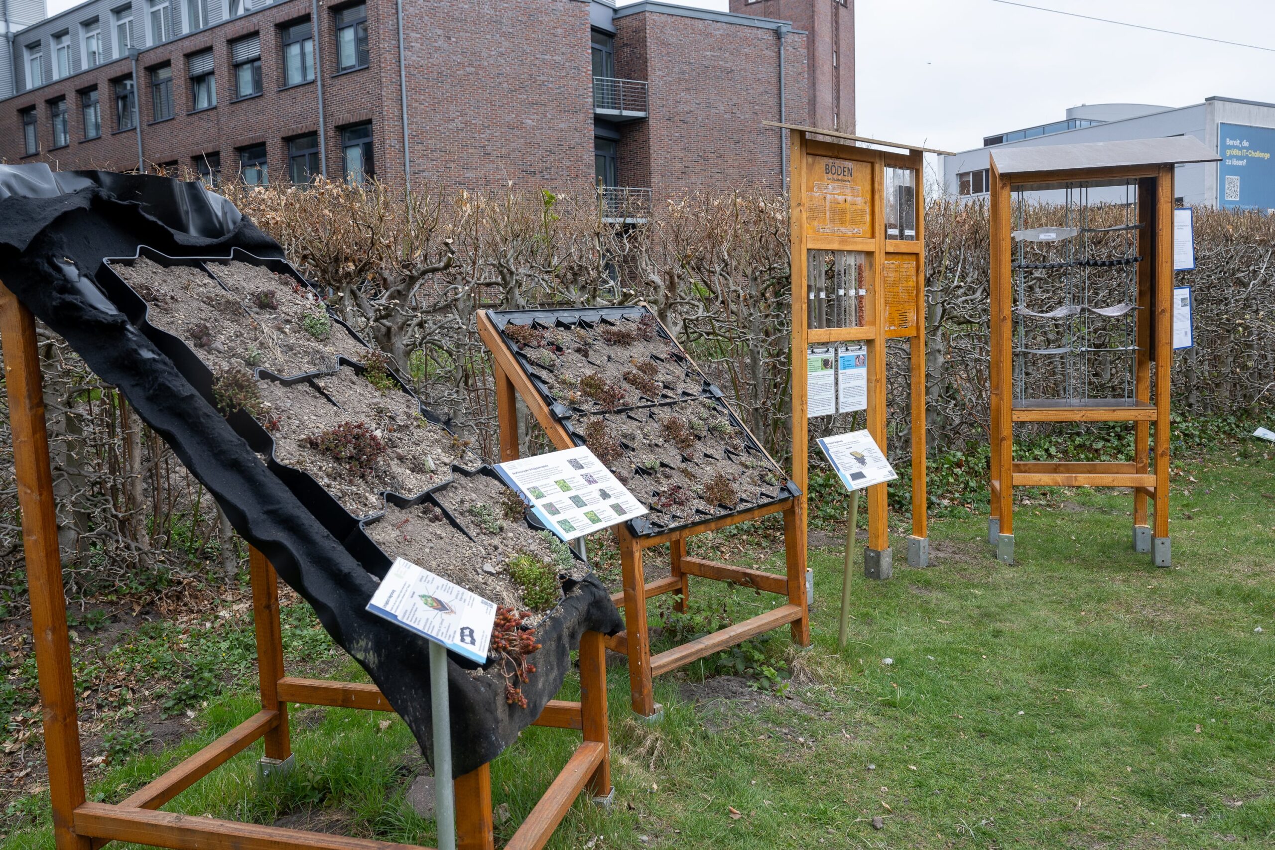 Neue Infostation zur Dachbegrünung im Botanischen Garten der Universität