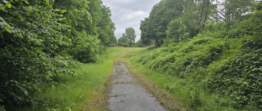 Blick auf ehemalige Schießbahn. Foto: Stadt Oldenburg