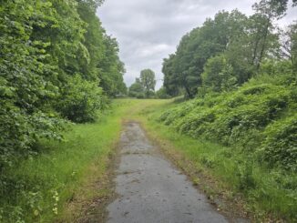 Blick auf ehemalige Schießbahn. Foto: Stadt Oldenburg