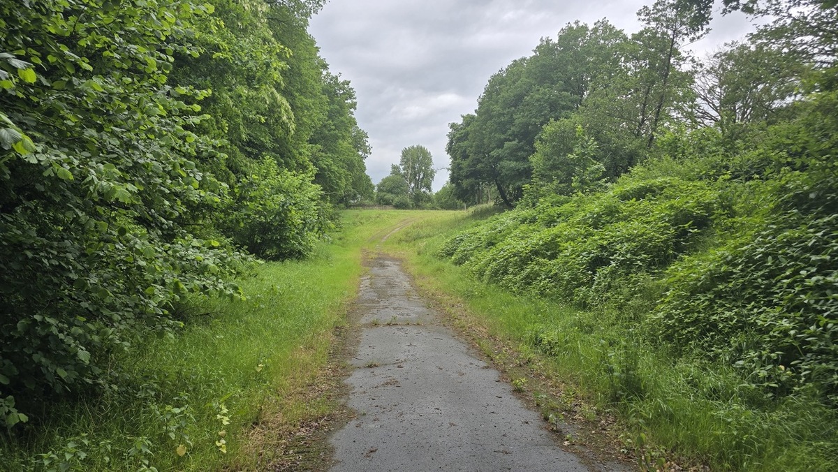 Blick auf ehemalige Schießbahn. Foto: Stadt Oldenburg