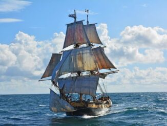 Premiere bei der SAiL: Diese drei Segler kommen das erste Mal