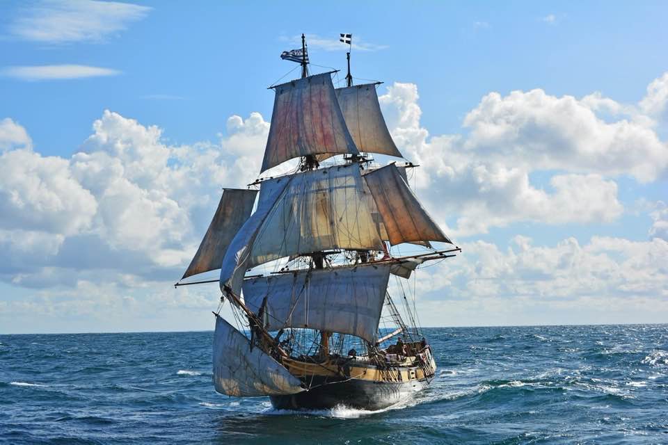 Premiere bei der SAiL: Diese drei Segler kommen das erste Mal