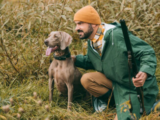Jagdschein außerhalb Niedersachsens machen – was müssen Jäger aus der Hunte-Weser-Region beachten?