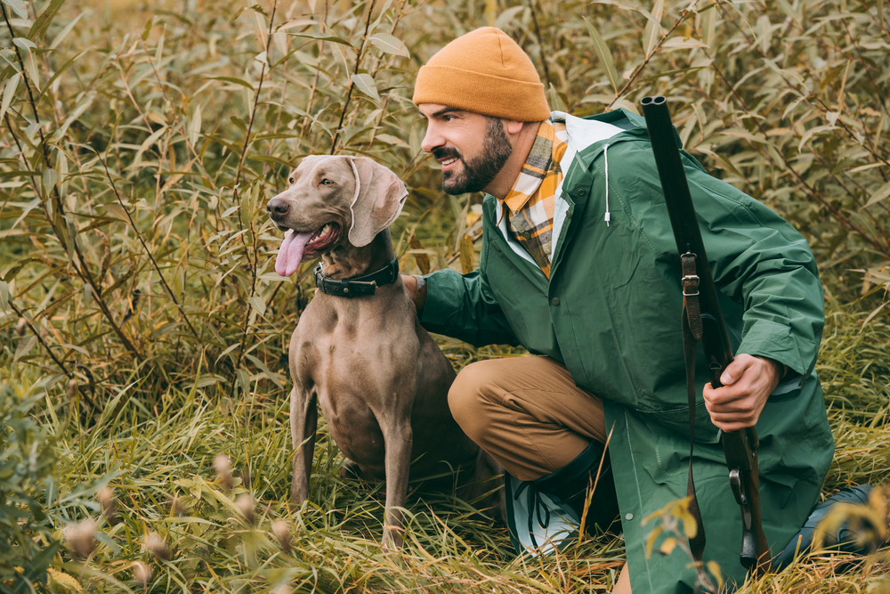 Jagdschein außerhalb Niedersachsens machen – was müssen Jäger aus der Hunte-Weser-Region beachten?
